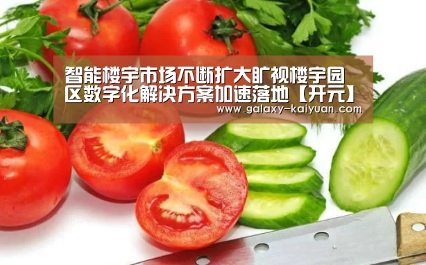 智能楼宇市场不断扩大旷视楼宇园区数字化解决方案加速落地【开元】