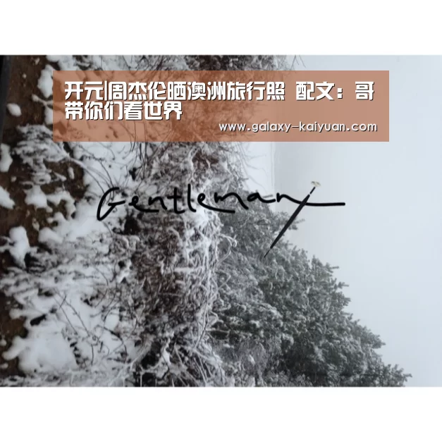 开元